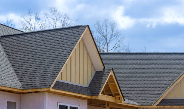 Best Roof Moss and Algae Removal  in Blackhawk, CA
